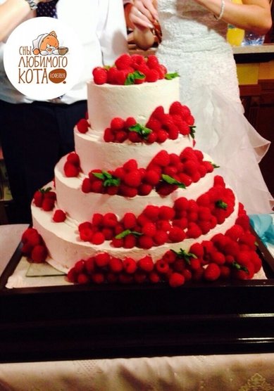 Свадебный торт С98326 - Кофейня Сны любимого кота