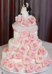  «Розовые розы» (866268)