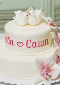  «Свадьба Голуби» (866282)