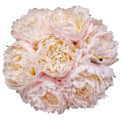 Букет Р8671 - Салон цветов Русский букет