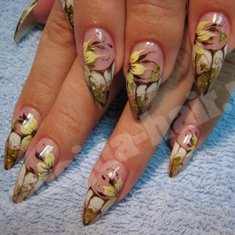 Посольство красоты La Speranza