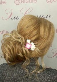  низкий пучок (Е21004)