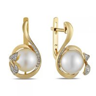 Серьги E108-1982362CP-R17-я8900