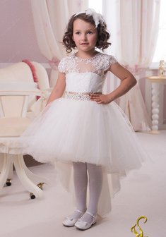 Арт. TG 021-Y55483