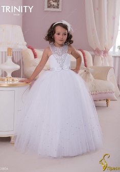 Арт. TG 006-Y55486