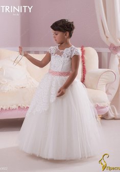 Арт. TG 022-Y55487