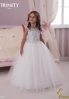 Арт. TG 003-Y55505