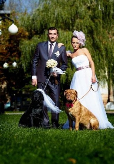 Украшения для невест М91296 - Аксессуары Мастерская Событий Lila